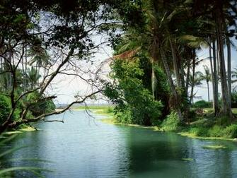 Taiti Wallpaper Picture Photo