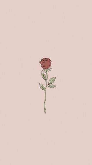 Cute Rose Aesthetic iPhone Wallpaper
