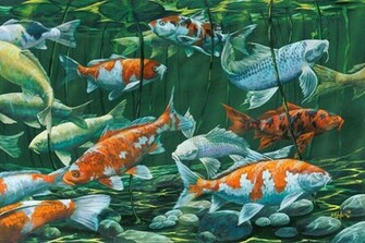 Koi Pond Wall Mural Contemporary Wallpaper
