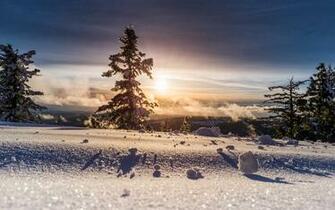 Wallpaper Perfect Winter