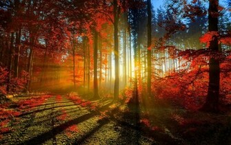 Fall Colors Desktop Wallpaper In HD