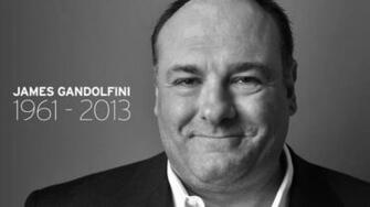 Mort De Tony Soprano Tuxboard