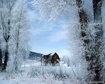 Wallpaper Nature Winter Wonderland