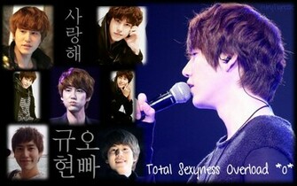 Kyuhyun Wallpaper By Furytigresse