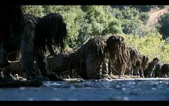 Marine Scout Sniper Wallpaper Imgkid The Image