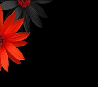 Priv Wallpaper Repository Colorful Jpg