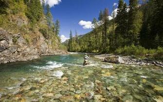 Fly Fishing British Columbia Elk Wallpaper