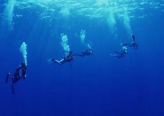 Nice Wallpaper Pack Scuba P