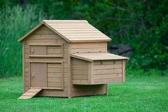 The Bungalow Chicken Coop Up To Chickens From My Pet