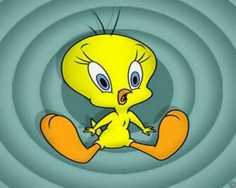 Tweety Pie High Definition HD Wallpaper All