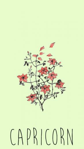 iPhone Plus
