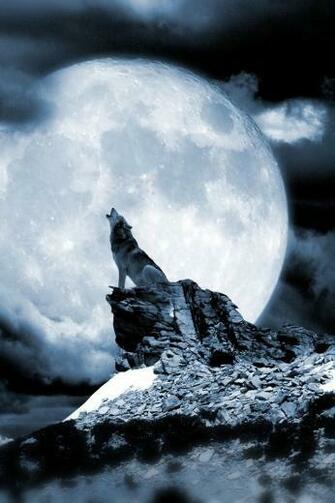 Wolf And Moon iPhone Wallpaper