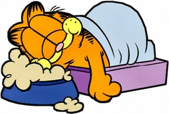 Dormir Garfield Wallpaper