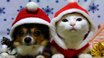 Holiday Christmas HD Wallpaper