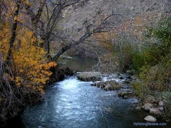 Fly Fishing Newbie Flyfishingnewbie Wallpaper