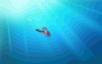 Windows Wallpaper Official Software Os