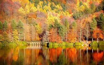 Autumn HD Wallpaper