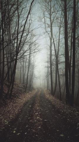 Portrait Display Vertical Landscape 1080p Wallpaper