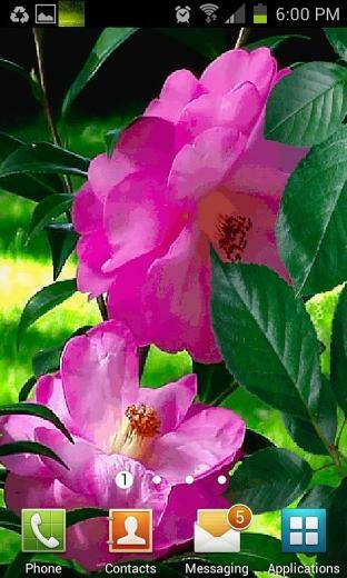 Purple Flowers Live Wallpaper Android