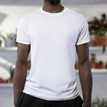 T Shirt Pictures Hq Image Stock Photos On