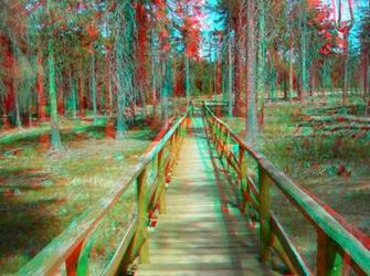 Beautiful 3d Image