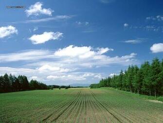 Beautiful Country Farm Scene Photography Landscape Wallpaper