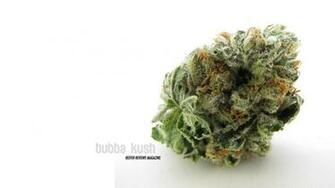 Kush Wallpaper