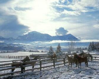 Horses In Winter Desktop Pc And Mac Wallpaper