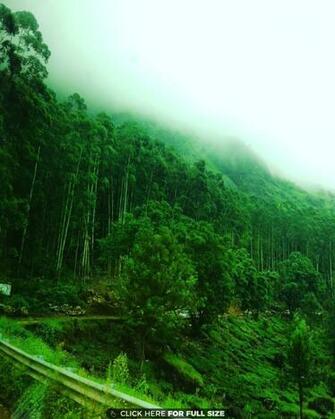 Kerala Wallpaper Photos And Desktop Background Up To 8k