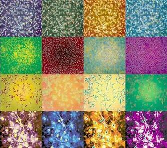 Dna Wallpaper Biology For Desktop Human Cell