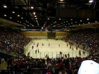 University Arizona Wildcats Wallpaper Hockey