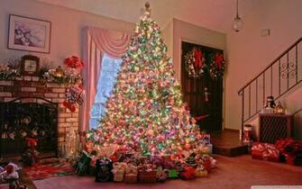 Christmas Tree For Berni Yorkshire Rose IwallHD Wallpaper