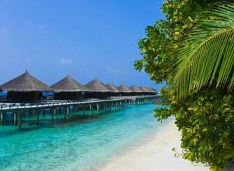 Tropical Beach Screensavers HD Walls Find Wallpaper