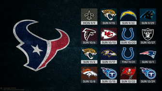 Houston Texans Wallpaper Pro Sports Background
