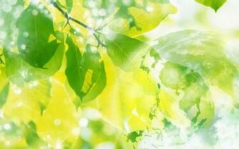 HD Desktop Wallpaper Pictures Background