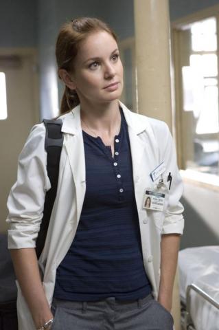 Sara Prison Break Tancredi Photo