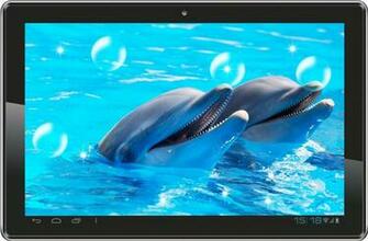 Dolphin Hq Live Wallpaper Android Apps On Google Play