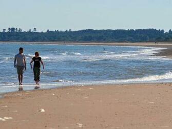 Beach Background Of People Walking On A Sandy