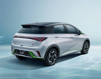 Byd Dolphin Wallpaper