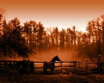 Farm Life Wallpaper Orange Horses