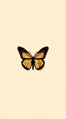 Yellow Orange Butterfly iPhone Wallpaper Aesthetic