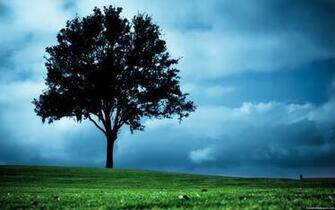 Green Land And Single Beautiful Tree HD Wallpaper 3dandHDwallpaper