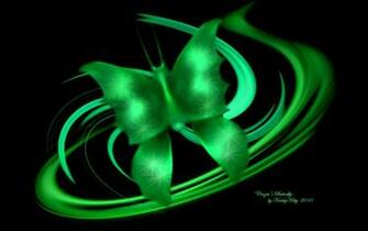 Green Butterfly Image Wallpaper Walops