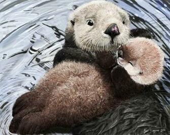 Baby Sea Otters Wallpaper Otter Mom S Soft Lullaby