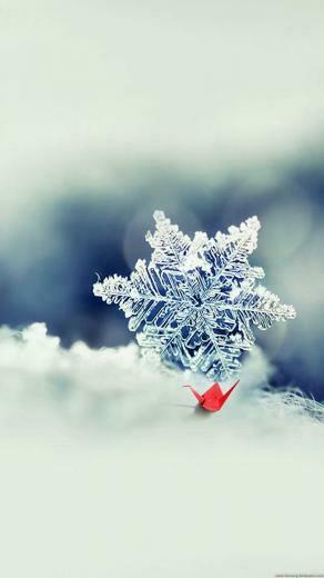 iPhone HD Wallpaper 1080p Best Ever