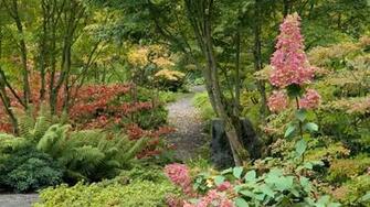 Beautiful HD Garden Image Wallpaper