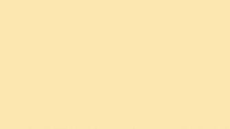 Peach Solid Color Background