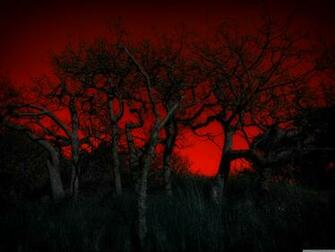 Fire Sky 4k HD Desktop Wallpaper For Ultra Tv Wide