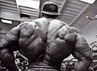 On July By Admin Comments Off Bodybuilding HD Wallpaper