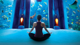 The Lost Chambers Aquarium Dubai At Atlantis Palm